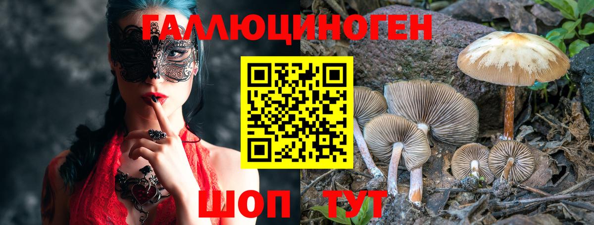 Псилоцибиновые грибы прущие грибы Новоалтайск