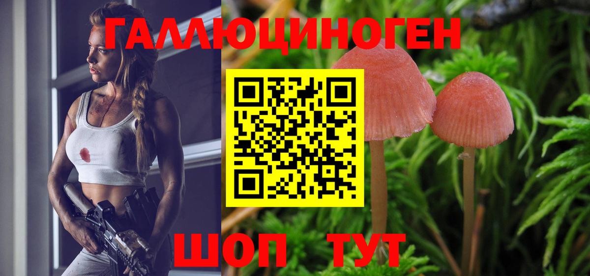 Псилоцибиновые грибы мицелий  Галлюциногенные грибы Magic Shrooms  Новоалтайск  Вход с VPN 